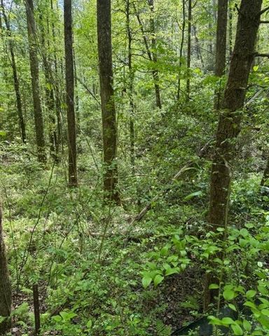 348 Hemlock Trail, Ellijay, GA 30540