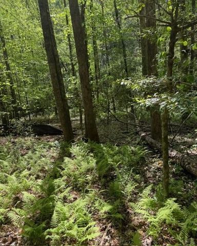 348 Hemlock Trail, Ellijay, GA 30540