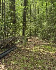 348 Hemlock Trail, Ellijay, GA 30540