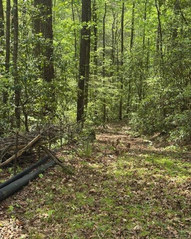 348 Hemlock Trail, Ellijay, GA 30540