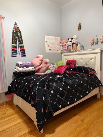 717 N Springfield Avenue, Chicago, IL 60624