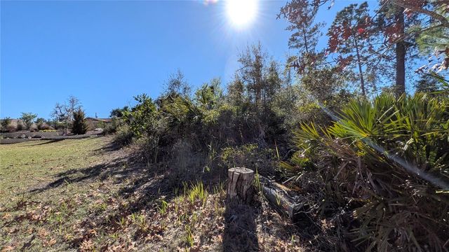 13014 HANLEY DRIVE, Spring Hill, FL 34609