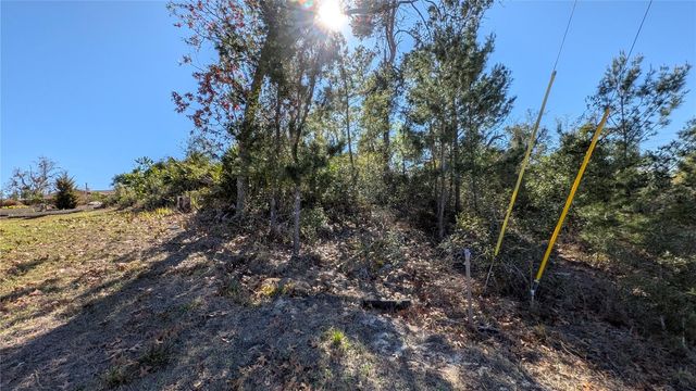 13014 HANLEY DRIVE, Spring Hill, FL 34609