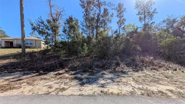 13014 HANLEY DRIVE, Spring Hill, FL 34609