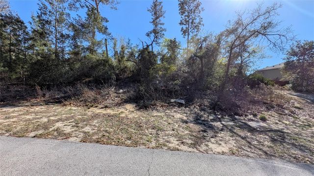 13014 HANLEY DRIVE, Spring Hill, FL 34609