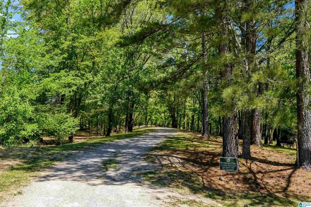 6667 SPRING STREET, Trussville, AL 35173