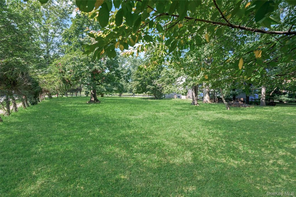 Orchard off Manhattan Manhattan, New Rochelle, NY 10801 — photo 2