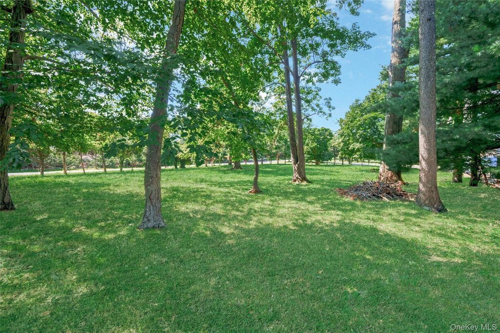 Orchard off Manhattan Manhattan, New Rochelle, NY 10801 — photo 3