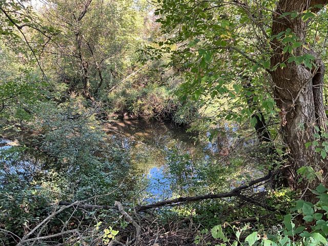 20128 554th Street, Concord Twp, MN 55985