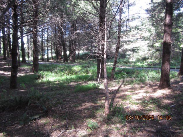 52 Madrone Road, Shelter Cove, CA 95589