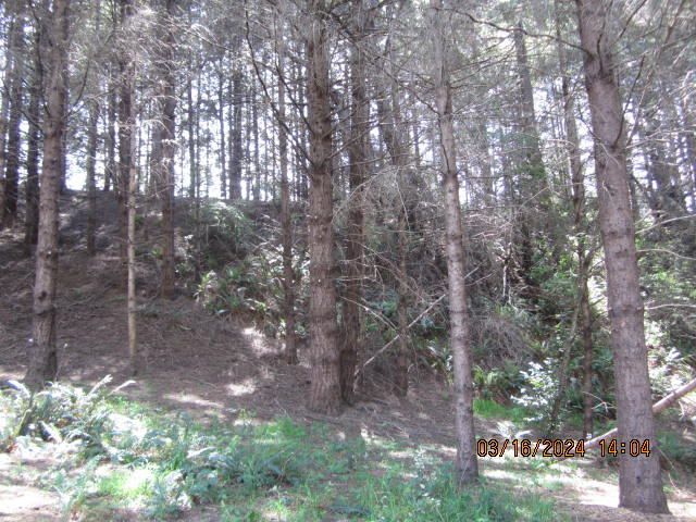 52 Madrone Road, Shelter Cove, CA 95589