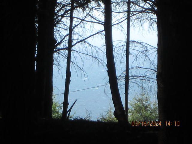 52 Madrone Road, Shelter Cove, CA 95589