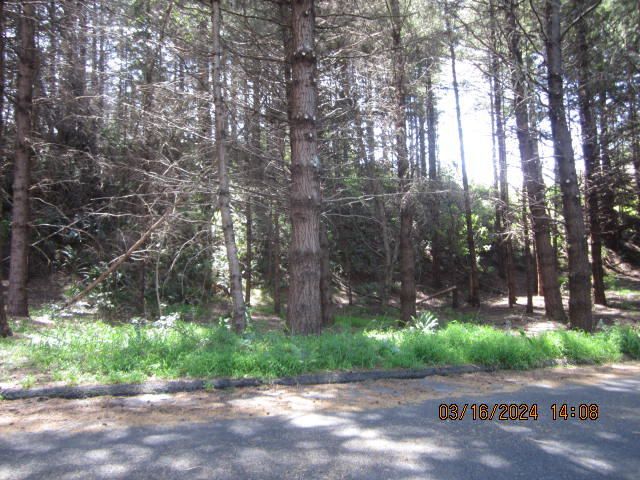 52 Madrone Road, Shelter Cove, CA 95589