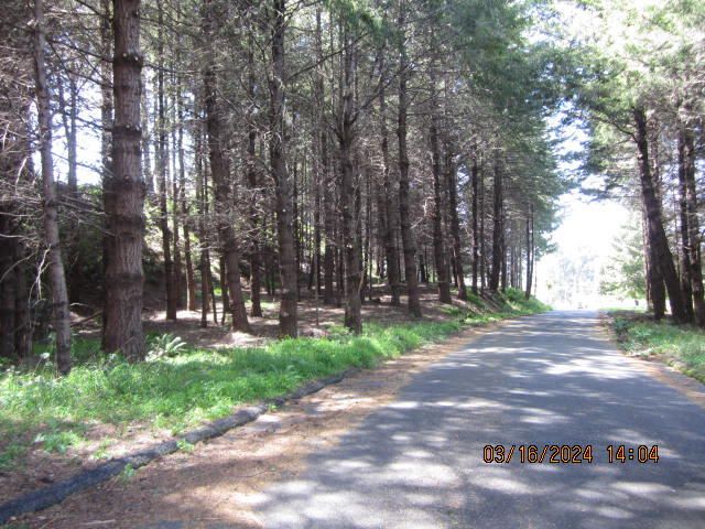 52 Madrone Road, Shelter Cove, CA 95589