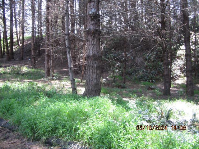 52 Madrone Road, Shelter Cove, CA 95589