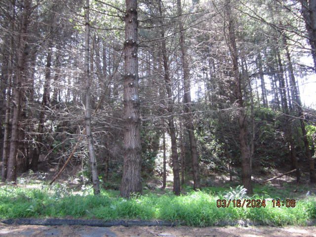 52 Madrone Road, Shelter Cove, CA 95589