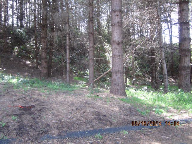 52 Madrone Road, Shelter Cove, CA 95589