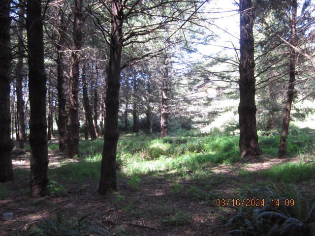 52 Madrone Road, Shelter Cove, CA 95589