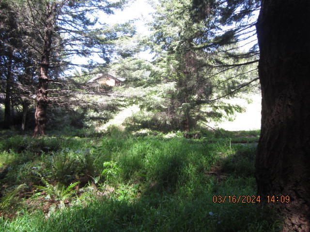 52 Madrone Road, Shelter Cove, CA 95589