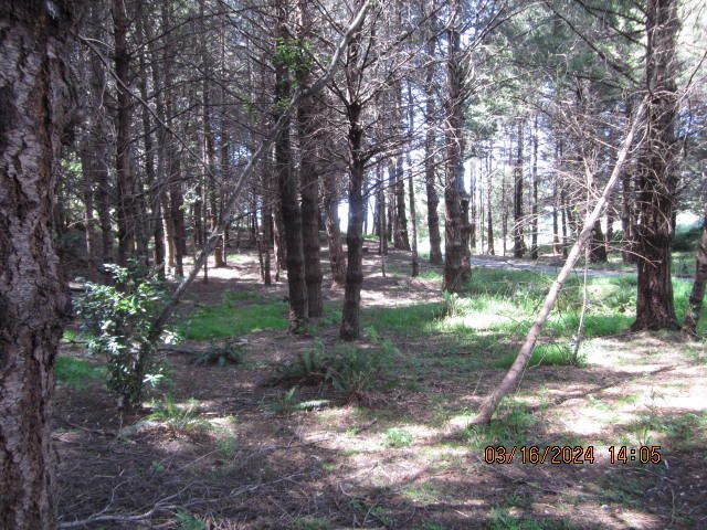 52 Madrone Road, Shelter Cove, CA 95589