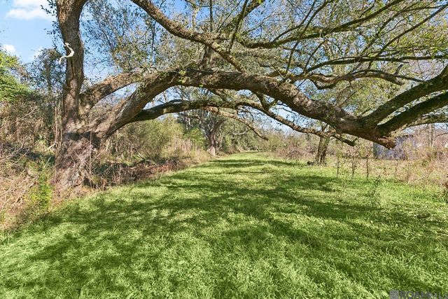 37544 Hwy 22, Darrow, LA 70725