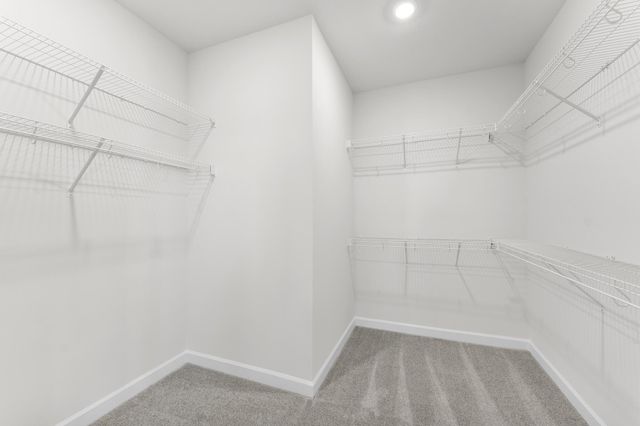 219 Crosswick Street, Summerville, SC 29483