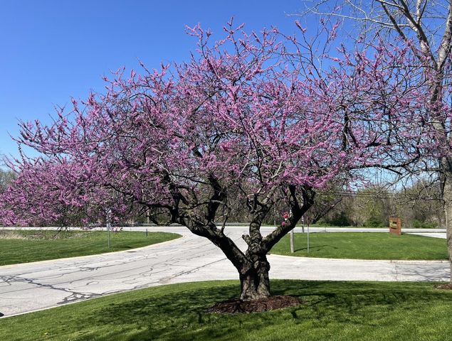 7315 Taney Place, Merrillville, IN 46410