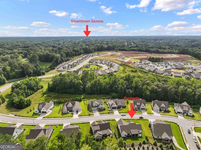 170 Werner Way, Senoia, GA 30276