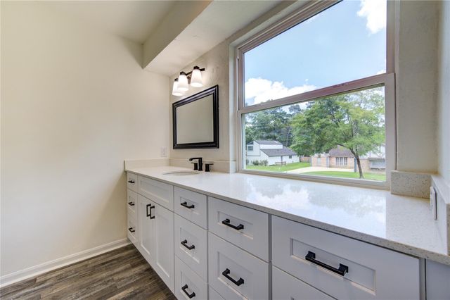 1843 Spruce Knob Drive, Houston, TX 77339