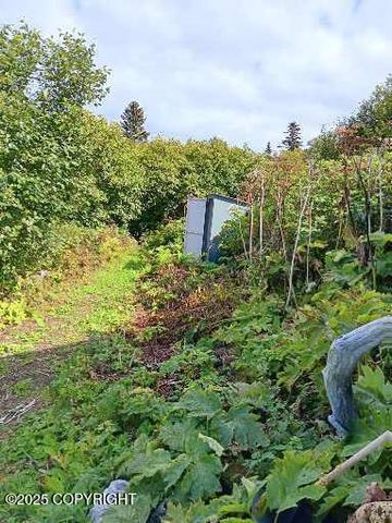 11949 Sterling Highway, Ninilchik, AK 99639