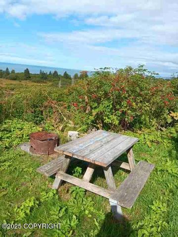 11949 Sterling Highway, Ninilchik, AK 99639