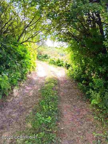 11949 Sterling Highway, Ninilchik, AK 99639