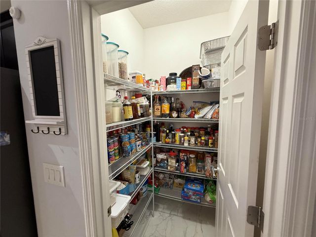 3012 LADY MAE LANE, Kissimmee, FL 34744