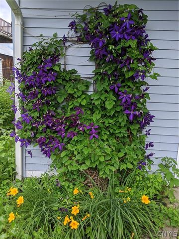 1230 Earlville Road, Hamilton, NY 13332