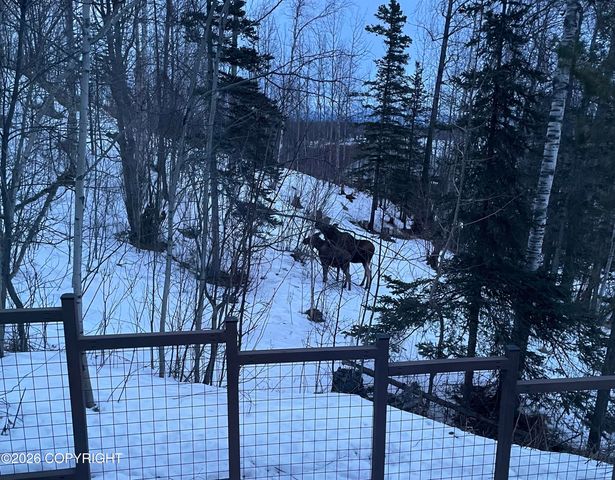 3730 E Palmdale Drive, Wasilla, AK 99654