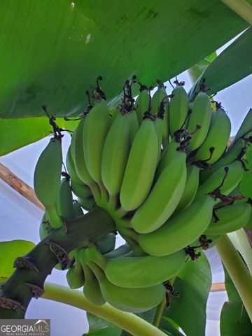 143 Arden Drive, Swainsboro, GA 30401