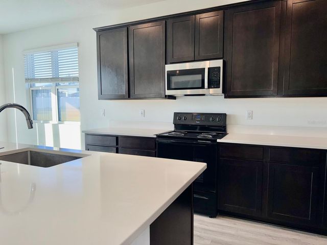 1209 MATTIE POINTE BOULEVARD, Auburndale, FL 33823