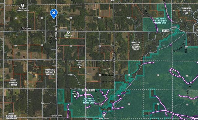 8784 M-66, Garfield Twp, MI 49633