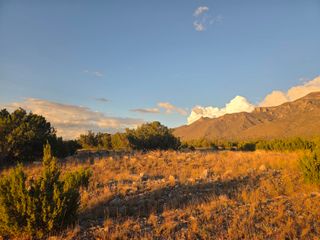 RDO Lot: 3 Block: 73 37, Los Lunas, NM 87031