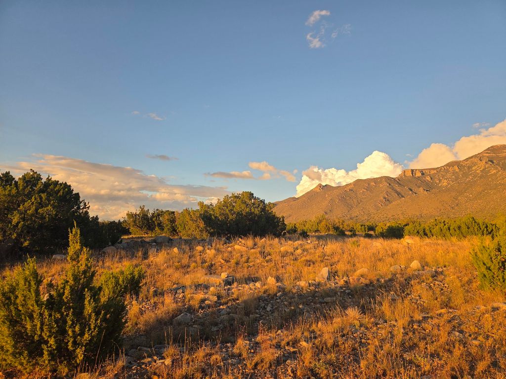 RDO Lot: 3 Block: 73 37, Los Lunas, NM 87031