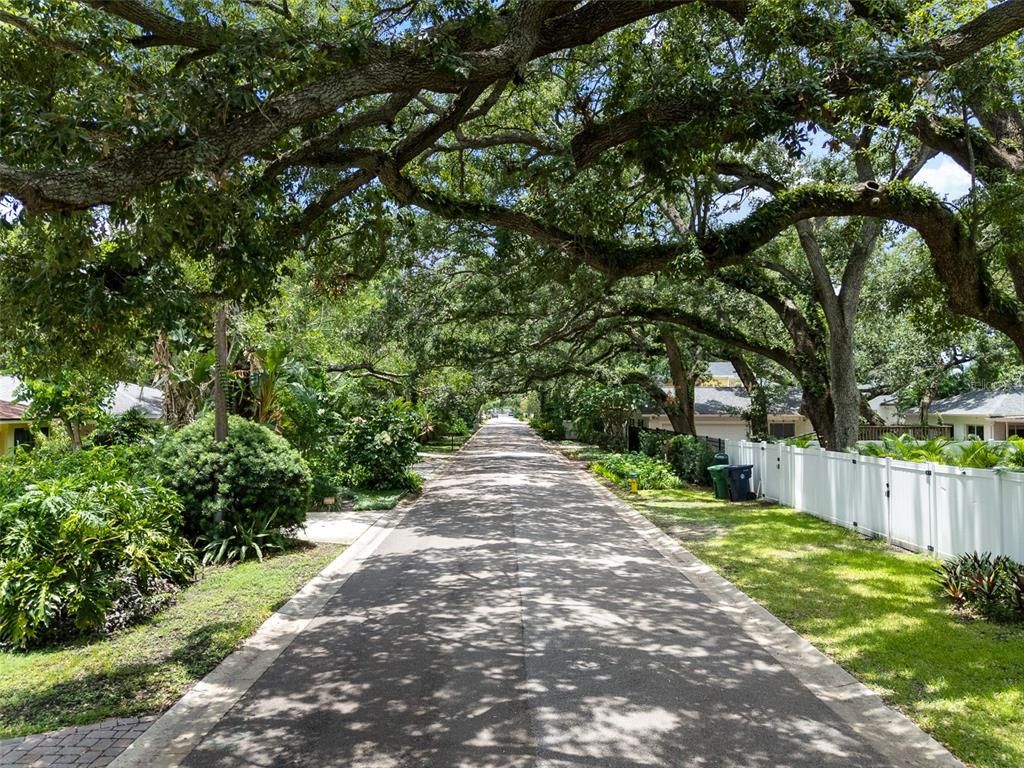 Image 34 of property listing at 3312 W CARRINGTON STREET, Tampa, FL 33611