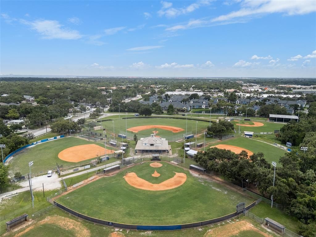 Image 41 of property listing at 3312 W CARRINGTON STREET, Tampa, FL 33611