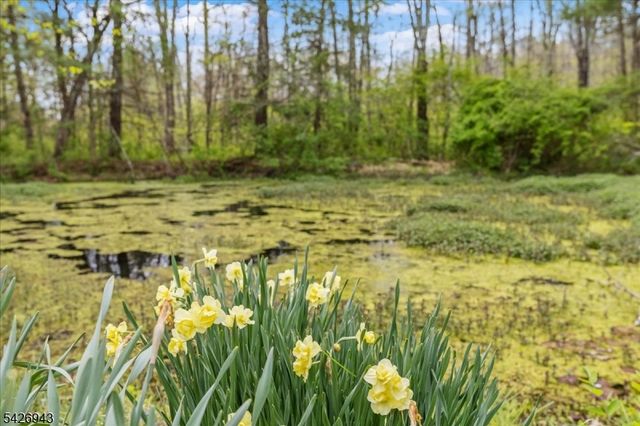 685 Woodglen Rd, Lebanon Twp., NJ 08826
