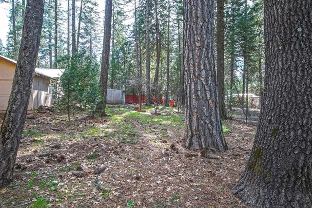 33433 Plateau Pines Road, Shingletown, CA 96088