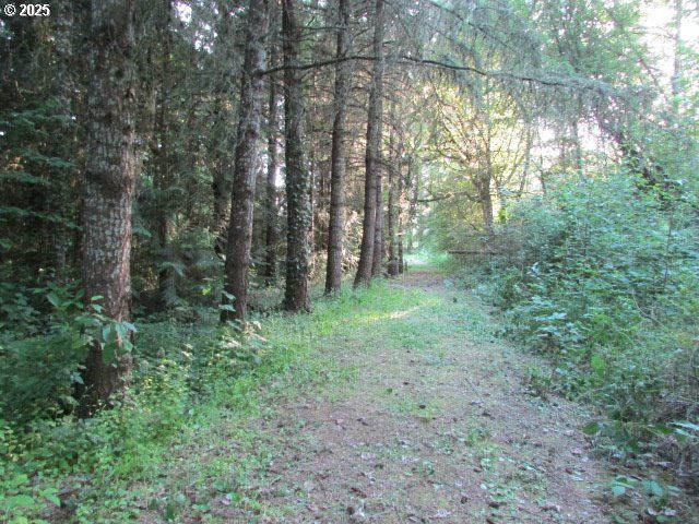 21451 Se WEBFOOT Rd, Dayton, OR 97114