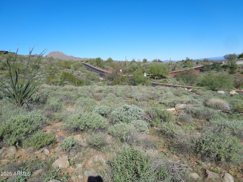 14248 E GREY OWL Trail 166, Fountain Hills, AZ 85268 — photo 4