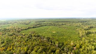 0 Johnston Highway, Trenton, SC 29847