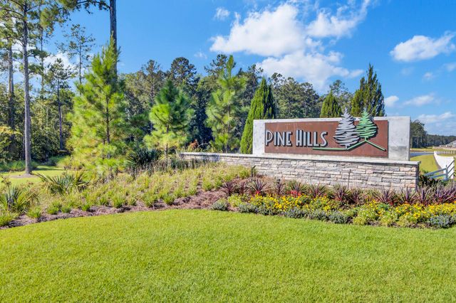 665 Silver Spruce Street, Summerville, SC 29486