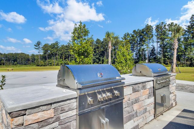 665 Silver Spruce Street, Summerville, SC 29486