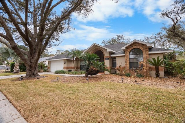 1619 PALACE COURT, Valrico, FL 33594